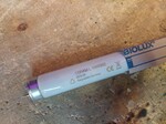 TL Biolux 18w/965